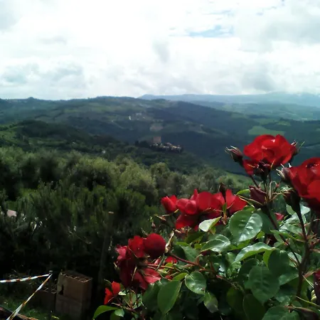 Poggio Al Vento-3