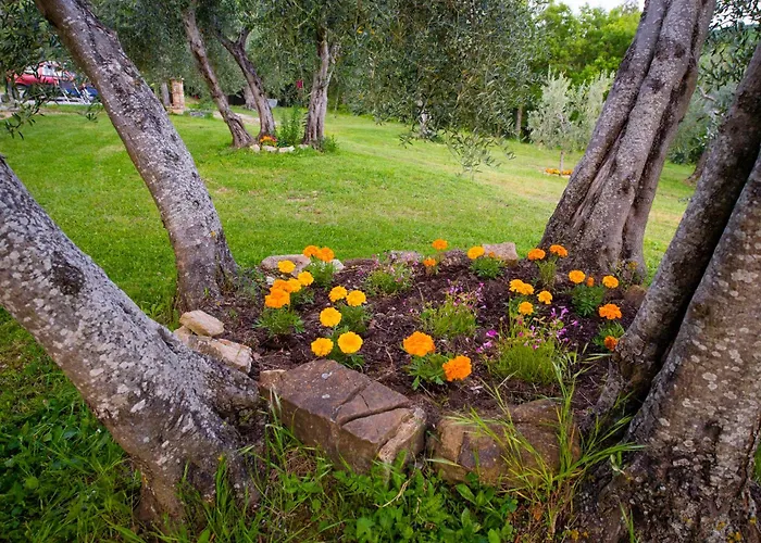 Agriturismo Bindozzino Castiglione dʼOrcia