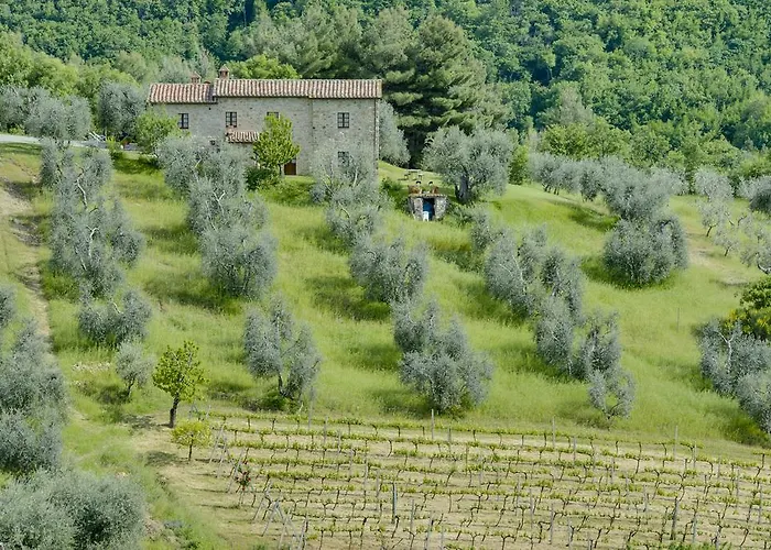 Agriturismo Bindozzino Castiglione dʼOrcia